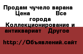 Продам чучело варана. › Цена ­ 15 000 - Все города Коллекционирование и антиквариат » Другое   